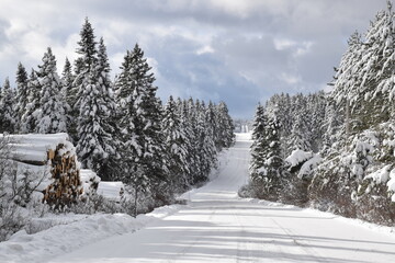 The Northern Range in Winter, Sainte-Apolline, Québec, Canada