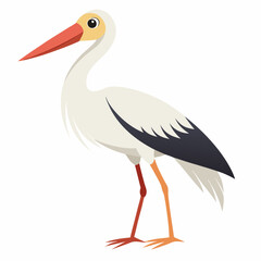 white stork on white background