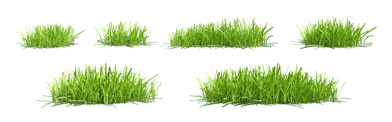 set of green grass clumps isolated