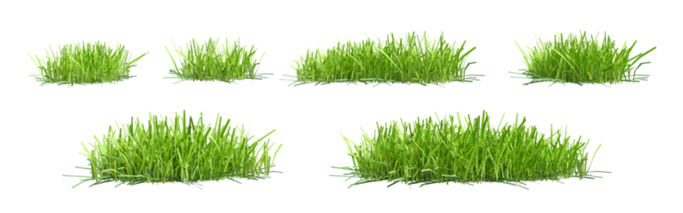 set of green grass clumps isolated