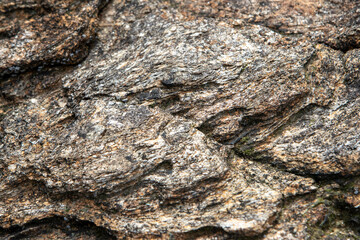 Vue rapprochée sélective de la texture d'une roche mise à nue par marée basse.