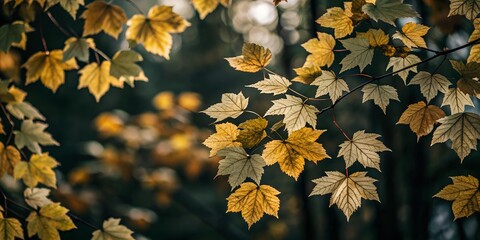 Vibrant Abstract Autumn Background with Yellow Leaves