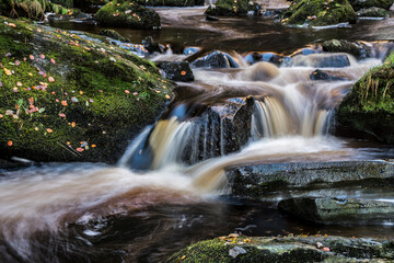 Obraz premium Waterfall with Autumn leaves on wet rocks