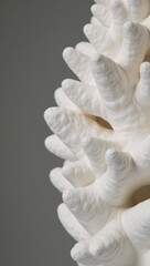White sculpture reminiscent of coral set against simple backdrop under soft lighting