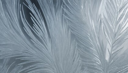 Obraz premium Close-up of frosted glass with soft icy streaks and shimmering highlights