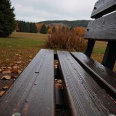 Fototapeta premium Autumn ambiance showcases a cozy rain-soaked bench with a wet metal handle