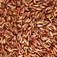 Close up pile of uncooked raw brown red rice or beras merah food ingredients isolated on square full frame background.