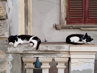 Cagliari, Sardinien, Italien, Insel, Sommer 2024