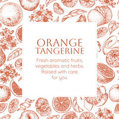 Vector frame with orange and tangerine. Whole fruit, half, slices, segments, lobes, blossom, leaves