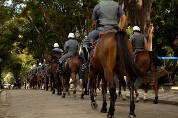 Cavalry in line providing security in a park