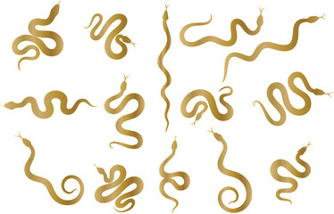 Set of golden snake. Chinese snake ornament. Year of snake vector. Chinese New Year Celebration