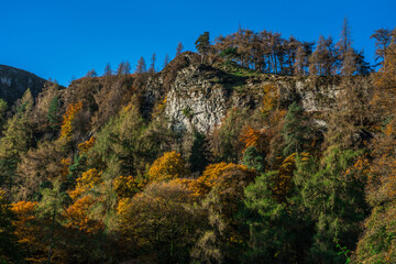 Rocky outcrop on cliff edge with Autumn foliage on surrounding trees in forest