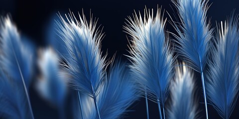 Fototapeta premium ears of wheat in the wind
