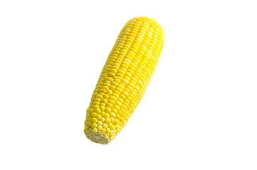 Fresh peeled corn isolated on white background.