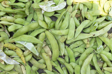 Soybean husk crops