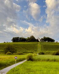 landscape with road and sky