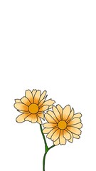 yellow daisy flower