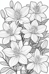 Intricate Line Art of Blooming Clematis Flowers