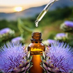 Flower artichoke Alcachofra (Cynara scolymus) floral Saint Germain, amber glass bottle pipette dropping drop essence, therapy floral