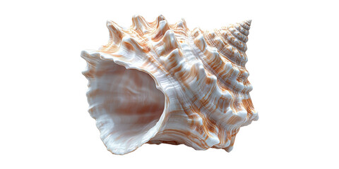 Fototapeta premium Spiral seashell with ridged texture isolated on transparent background