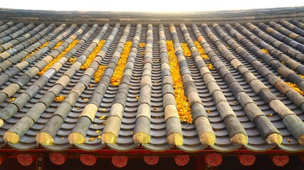 the roof of a traditional Korean house stacked with ginkgo leaves