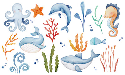 A Set of Sea Animals illustrations. Cute whale, squid, octopus, fish, seahorse, sea ​​plants. Underwater life. Fish and wild sea animals isolated on white background. Watercolor style.