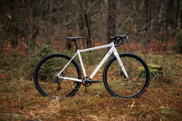 Fototapeta premium A bicycle resting on a forest path, surrounded by lush greenery and dappled sunlight, evoking a sense of tranquility and adventure. Ideal for themes of nature, solitude, and outdoor exploration