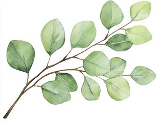 Fototapeta premium A delicate illustration of a green leafy branch, showcasing natural beauty and fine details of the leaves and twigs.