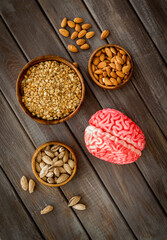 Healthy food for the brain. Human brain model with nuts and grain, top view