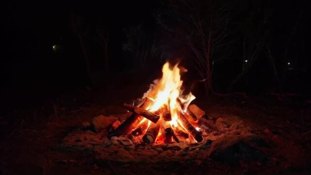 Burning Campfire. laming Bonfire in Night Forest. Static Shot