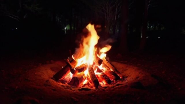 Burning Campfire. laming Bonfire in Night Forest. Static Shot