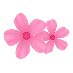 pink flower isolated on white