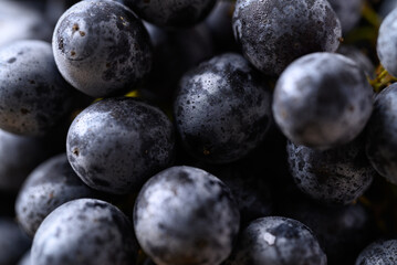 Bunch of black grapes, Seedless grapes background