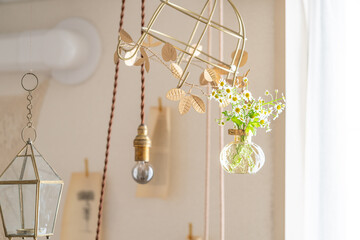 小瓶に飾ったマトリカリア,花,インテリア