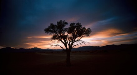 Fototapeta premium Solitary tree silhouette vibrant sunset sky