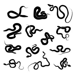 Silhouette snake Black and white venomous snake illustration. Snakes of different breeds
