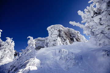 Clear winter day beauty landscape Sheregesh ski resort, frozen trees and rocks in snow, blue sky