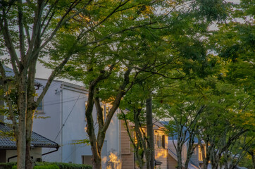 An ordinary house and street