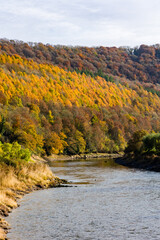 River flowing through a valley with colorful autumn leaves and foliage