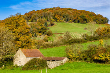 Obraz premium Rural farmland and autumn foliage on a sunny day in rural Wales (Tintern)