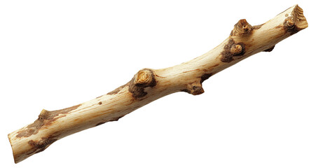 Fototapeta premium Polished wooden branch with knots and texture
