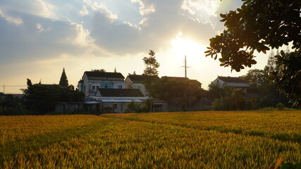 The scenery at the doorstep