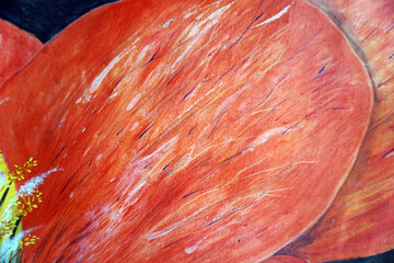 art  painting  abstract  oil color flower nature imagination	