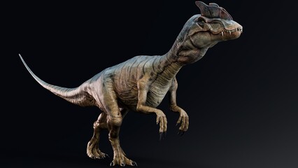 Dilophosaurus of background. 3d model rendering
