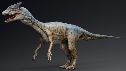 Dilophosaurus of background. 3d model rendering