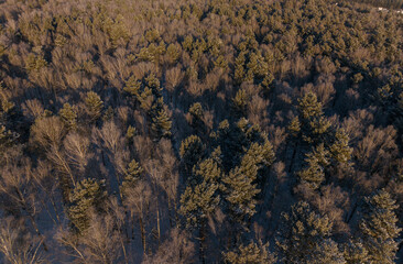 Aerial top view Natural landscape winter forest with fresh snow