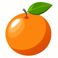 orange fruit vector illustration