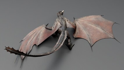 Wyvern Type Dragon 2 of background. 3d model rendering