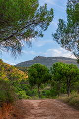 Views of high mountains and peaks from pine forests in Spain
