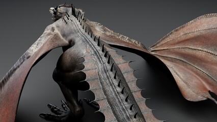 Wyvern Type Dragon 2 of background. 3d model rendering